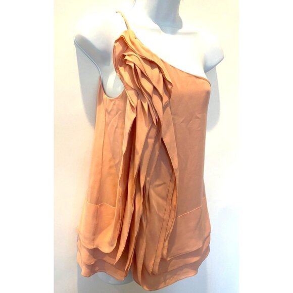 BCBGMaxAzria Blush Pink One Shoulder 100% Silk Ruffle Blouse Top Size S - Picture 7 of 15